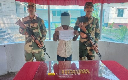 বিএসএফের বড় সাফল্য: ভারত-বাংলাদেশ সীমান্তে ২.৮২ কোটি টাকার সোনার বিস্কুট সহ চোরাকারবারী গ্রেফতার