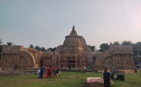 প্লাই উডের টুকরো ধানের শিষ আর পাট দিয়ে কালিয়াগঞ্জে কালিপূজা