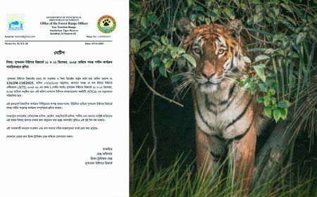 পর্যটকদের জন্য ১১ ও ১২ ডিসেম্বর সুন্দরবন বন্ধ থাকবে 