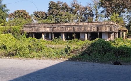 হলদিবাড়ির সেরিকালচার অফিস বর্তমানে পরিত্যক্ত 