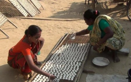 নশিরহাট দাসপাড়া বড়ি গ্রাম বলেই পরিচিত
