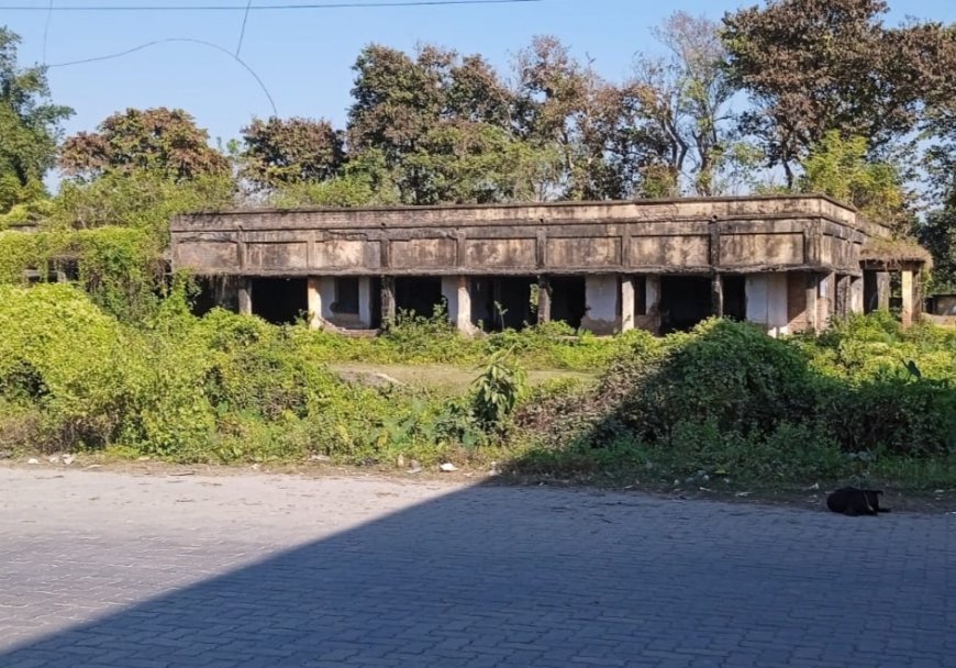 হলদিবাড়ির সেরিকালচার অফিস বর্তমানে পরিত্যক্ত 