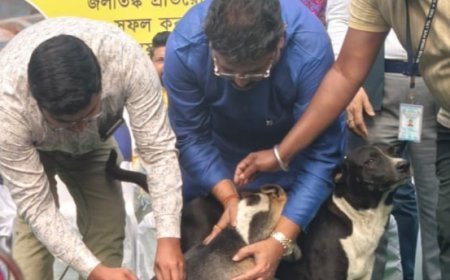 স্ট্রে ডগ স্টেরিলাইজেশন-ভ্যাকসিনেশন প্রোগ্রাম শুরু
