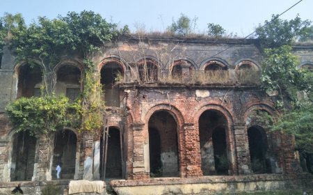 পৌরসভা থেকে পঞ্চায়েত,ব্রিটিশ আমলের ক্যানিং কলঙ্কময়