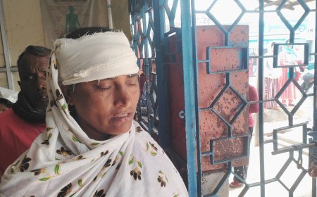 বাসন্তীতে অটো উল্টে জখম ৭