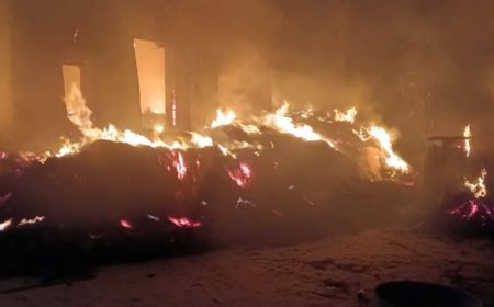 রাতের অন্ধকারে বিজেপি কর্মী সমর্থকের বাড়িতে ভয়াবহ অগ্নিকান্ড,অভিযোগের তির তৃণমূলের বিরুদ্ধে,আটক ১,তদন্তে পুলিশ