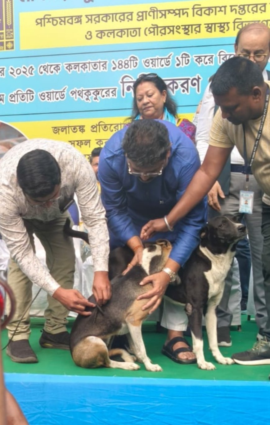 স্ট্রে ডগ স্টেরিলাইজেশন-ভ্যাকসিনেশন প্রোগ্রাম শুরু