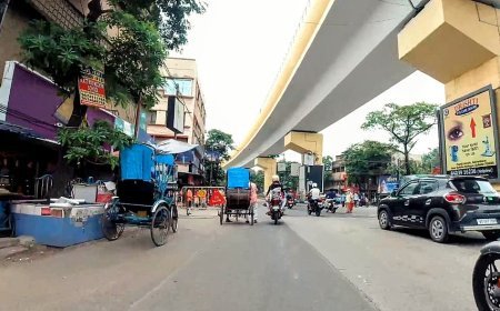 বড়িশার সখেরবাজার সংস্কার