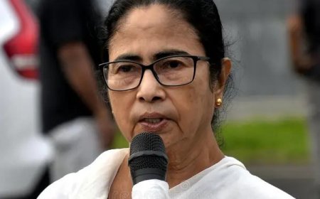 মুখ্যমন্ত্রীর হাত দিয়ে সুন্দরবনের একাধিক প্রকল্পের উদ্বোধন