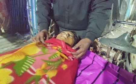 সপ্তম শ্রেণীর ছাত্রের অস্বাভাবিক মৃত্যু,এলাকায় শোক