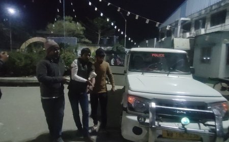 বিদ্যুতের খুঁটিতে ম্যাজিক গাড়ির ধাক্কা গুরুতর জখম ১৩, ত্রাতার ভূমিকায় পুলিশ