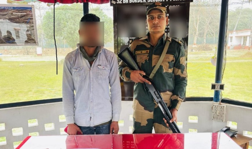 নদিয়া সীমান্তে সোনা পাচারকারীকে গ্রেপ্তার করল বিএসএফ, উদ্ধার হলো ১ কোটি টাকার সোনা