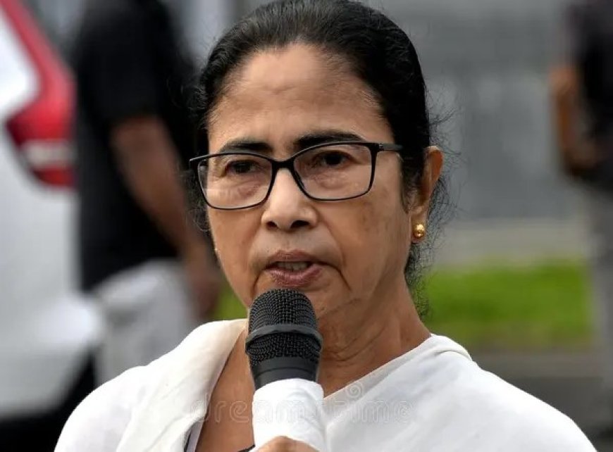 মুখ্যমন্ত্রীর হাত দিয়ে সুন্দরবনের একাধিক প্রকল্পের উদ্বোধন