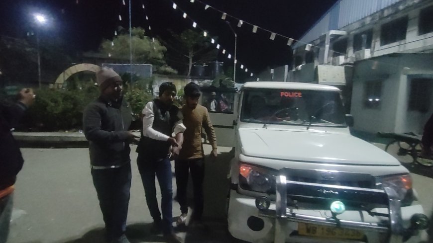 বিদ্যুতের খুঁটিতে ম্যাজিক গাড়ির ধাক্কা গুরুতর জখম ১৩, ত্রাতার ভূমিকায় পুলিশ