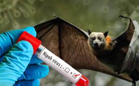 ভারতবর্ষে নিপা ভাইরাস সংক্রমণের পরিস্থিতি
