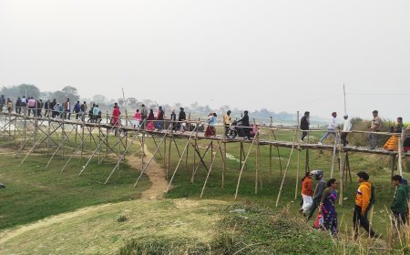 কথা দিয়েও কেউ কথা রাখেনি! সেতু তৈরি করলেন গ্রামবাসীরা