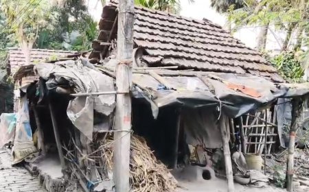 বিজেপির পঞ্চায়েত হওয়াতেই কি আবাসের একটাও তালিকায় ঘর আসলো না কুলপি পঞ্চায়েতে জা নিয়ে শুরু হয়েছে রাজনৈতিক জল্পনা