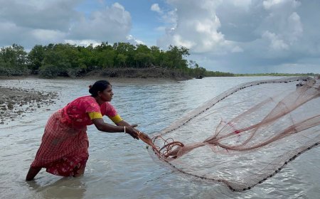 সুন্দরবনের তথাকথিত বিধবা পল্লীর বাস্তবতা ও অপপ্রচার