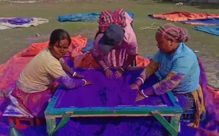 হোলির কাউন্ট ডাউন শুরু! কারখানায় তৈরি হচ্ছে রংবেরঙের আবির