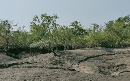 ভূমিকম্পের তীব্রতা কি সুন্দরবন সহ কলকাতা ধ্বংসের ইঙ্গিত