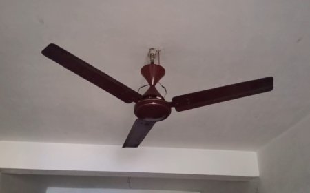 হাওড়াতেও অনুভূত হলো কম্পন