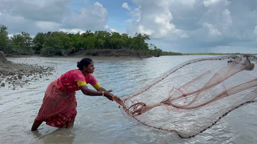 সুন্দরবনের তথাকথিত বিধবা পল্লীর বাস্তবতা ও অপপ্রচার