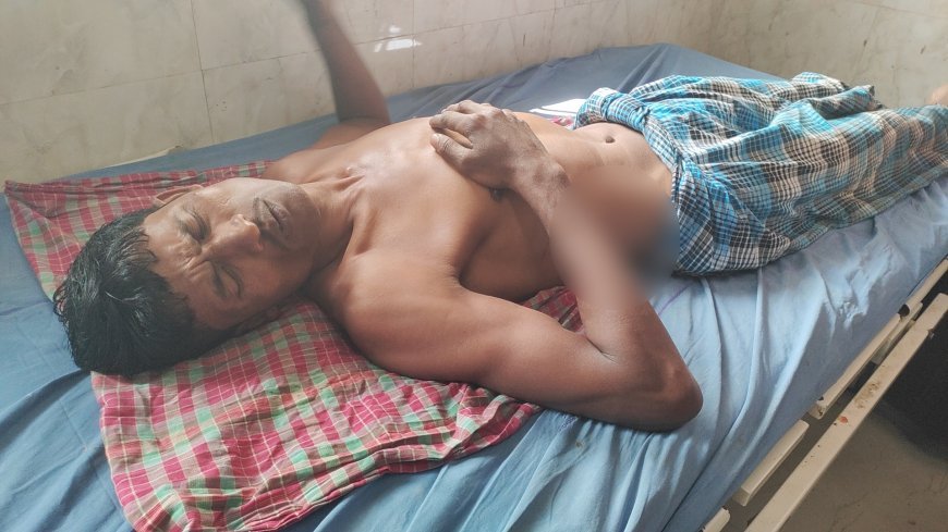 ঘরের এসবেসটসের চালা ভেঙে জখম যুবক