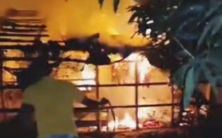 বাসন্তীতে পোল্ট্রীফার্মে ভয়াবহ অগ্নিকান্ড