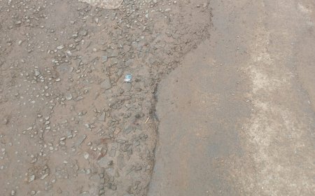বেহাল ভগ্নাদশায় রাস্তা