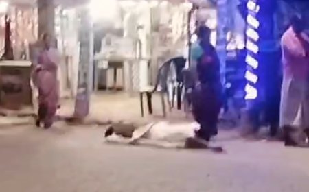 মনের আশা পূরণ করেছেন দেবাদি দেব মহাদেব,দন্ডি কেটে পুজো দিলেন সুজিত