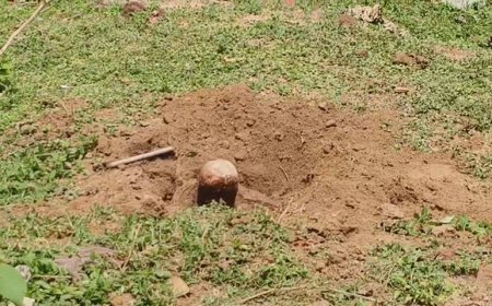 বোলপুরের শিশু উদ্যানে শিবলিঙ্গ ঘিরে তীব্র চাঞ্চল্য, তদন্তে পুলিশ