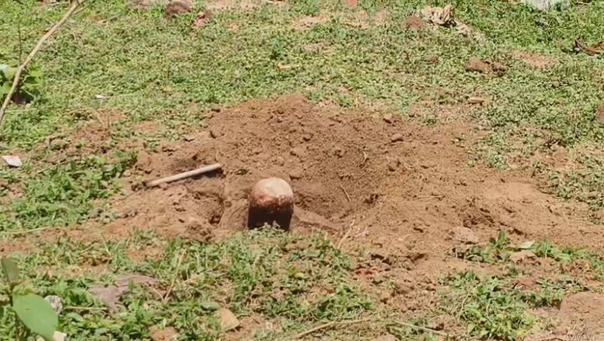 বোলপুরের শিশু উদ্যানে শিবলিঙ্গ ঘিরে তীব্র চাঞ্চল্য, তদন্তে পুলিশ