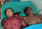 বিদ্যুৎপৃষ্ট হয়ে দম্পতির মৃত্যু,এলাকায় শোক
