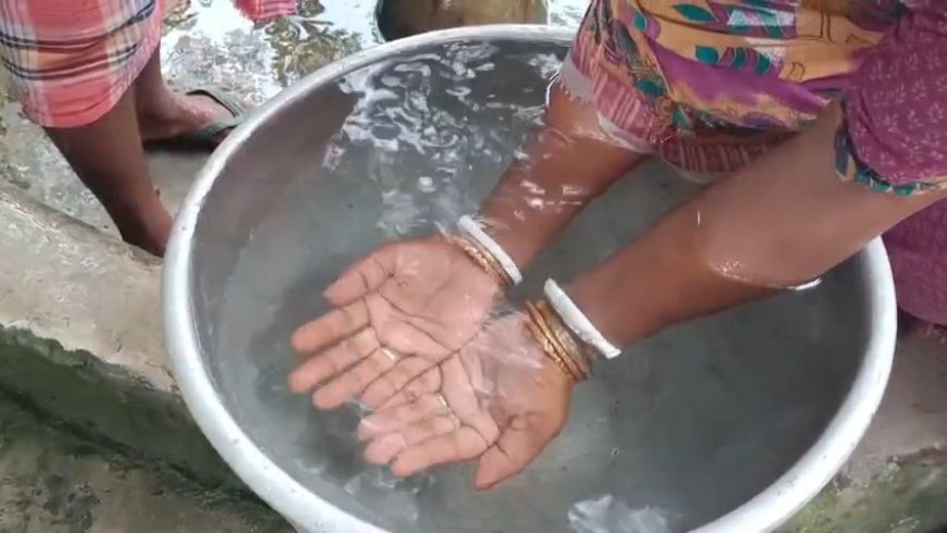 নলকূপের জলের সঙ্গে উঠছে শ্যাওলা ও পোকা, অসুস্থ গ্রামের শিশুরা