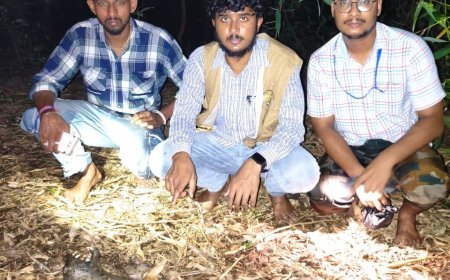 'বাঘরোল' মানুষকে আক্রমণ করেনা, কিন্তু বাসস্থান ও খাদ্যের অভাবে লোকালয়ে চলে আসে। এদের প্রাণে না মেরে রক্ষা করাই সকলের কর্তব্য, প্রচার পরিবেশ কর্মীদের