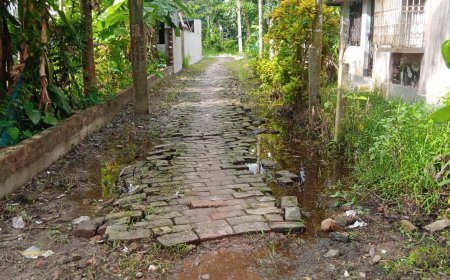 বাম - তৃণমূলে আমলে হয়নি রাস্তা , এবার বর্তমান  সরকারের কাছে পাকা রাস্তার আকুল আবেদন