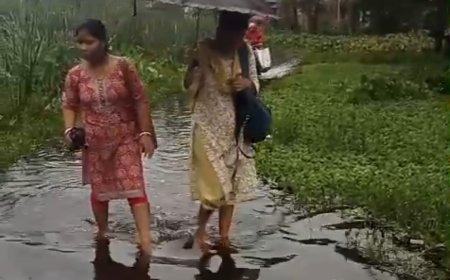 সারা বছর জলে ডুবে ক্যানিংয়ের নন্দন পল্লি,উদাস প্রশাসন