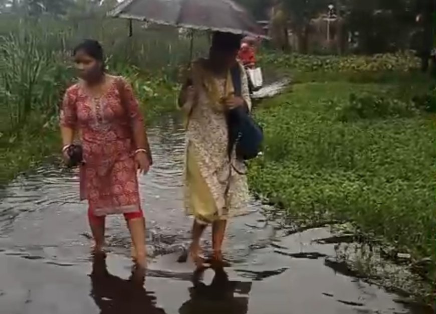 সারা বছর জলে ডুবে ক্যানিংয়ের নন্দন পল্লি,উদাস প্রশাসন