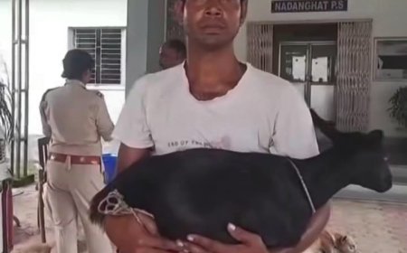 প্রতিবেশীর মারধরে জখম ছাগল, বিচার চেয়ে পোষ্য কোলে সটান থানায় হাজির যুবক