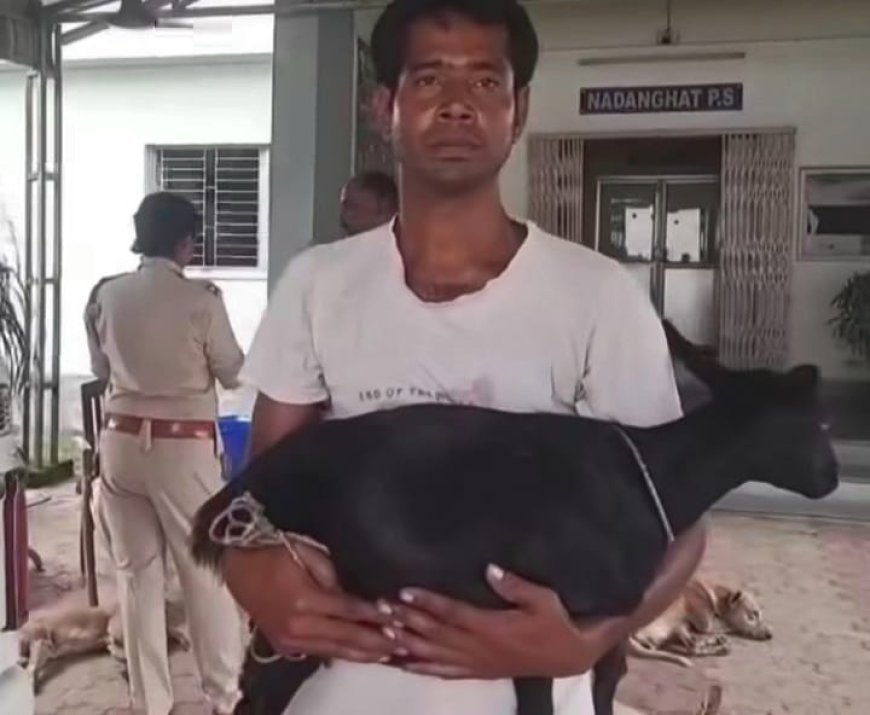 প্রতিবেশীর মারধরে জখম ছাগল, বিচার চেয়ে পোষ্য কোলে সটান থানায় হাজির যুবক